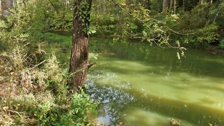 Mount Airy, GA 30563 Habersham County