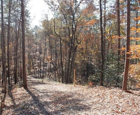 Toccoa, GA 30577 Stephens County