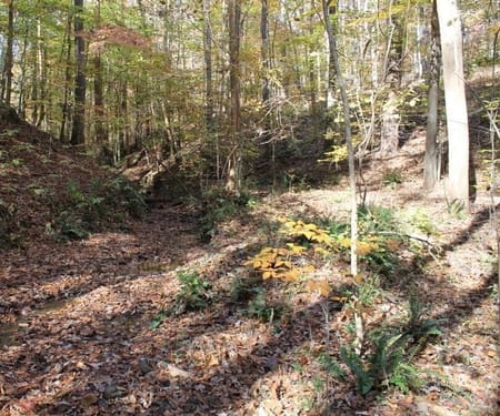 Toccoa, GA 30577 Stephens County