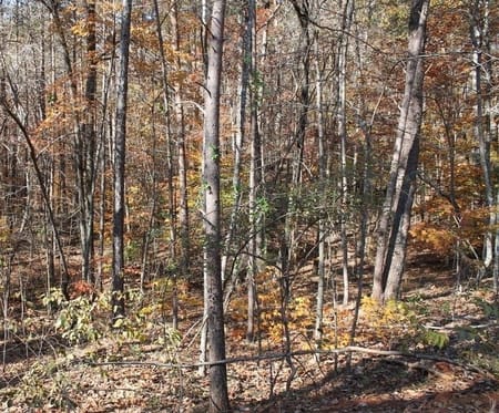 Toccoa, GA 30577 Stephens County
