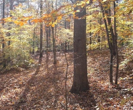 Toccoa, GA 30577 Stephens County