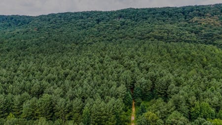 Lyerly, GA 30730 Chattooga County