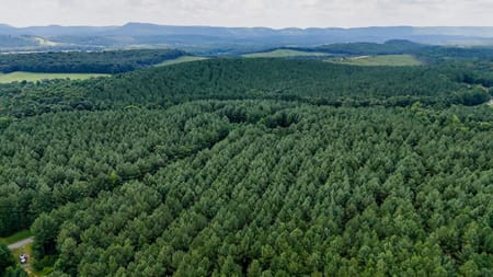 Lyerly, GA 30730 Chattooga County