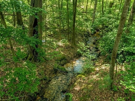 Dahlonega, GA 30533 Lumpkin County
