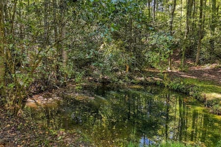 Ellijay, GA 30540 Gilmer County