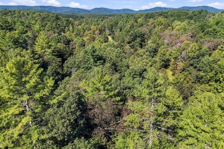 Ellijay, GA 30540 Gilmer County