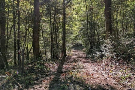 Ellijay, GA 30540 Gilmer County