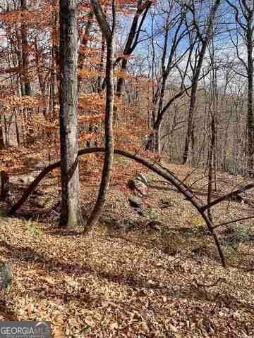 Clayton, GA 30525 Rabun County