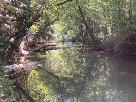 Watkinsville, GA 30677 Oconee County