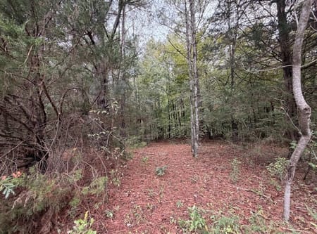 Jefferson, GA 30549 Jackson County