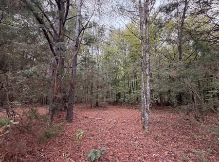 Jefferson, GA 30549 Jackson County