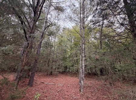 Jefferson, GA 30549 Jackson County