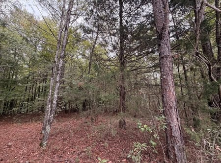 Jefferson, GA 30549 Jackson County