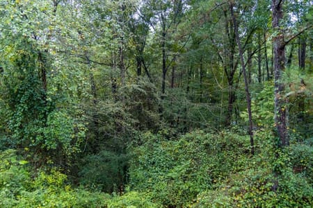 Conyers, GA 30012 Rockdale County