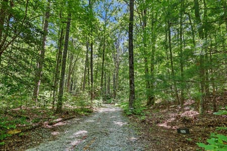 Tiger, GA 30576 Rabun County