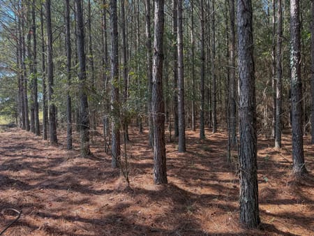 Americus, GA 31709 Sumter County