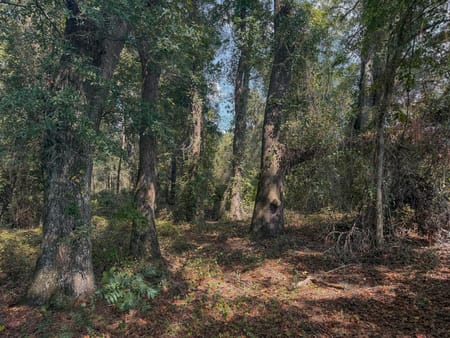 Americus, GA 31709 Sumter County