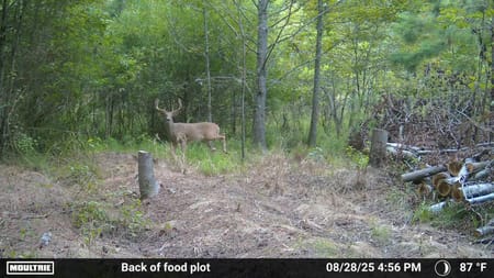Americus, GA 31709 Sumter County