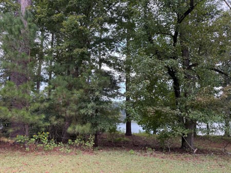 Milledgeville, GA 31061 Baldwin County