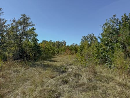 Richland, GA 31825 Stewart County