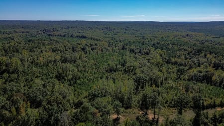 Richland, GA 31825 Stewart County