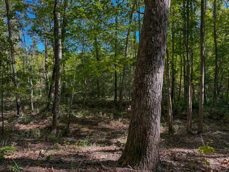 Richland, GA 31825 Stewart County