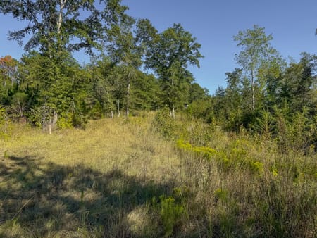 Richland, GA 31825 Stewart County
