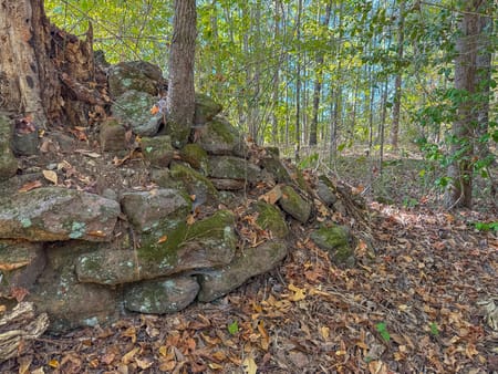 Richland, GA 31825 Stewart County