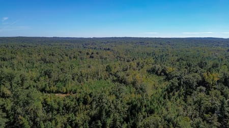 Richland, GA 31825 Stewart County