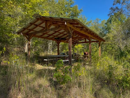 Richland, GA 31825 Stewart County