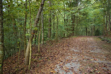 Ellijay, GA 30540 Gilmer County