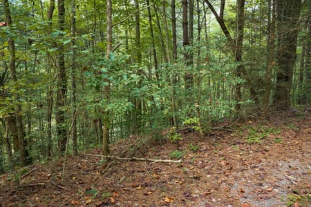 Ellijay, GA 30540 Gilmer County
