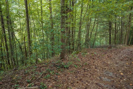 Ellijay, GA 30540 Gilmer County