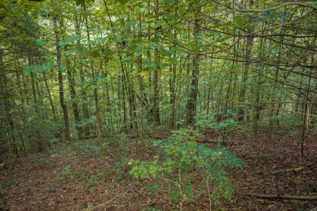Ellijay, GA 30540 Gilmer County