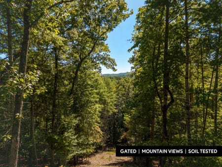 Blue Ridge, GA 30513 Fannin County