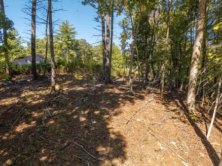 Blue Ridge, GA 30513 Fannin County
