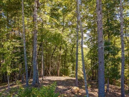 Blue Ridge, GA 30513 Fannin County
