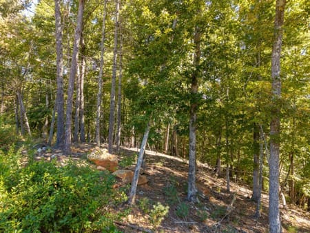 Blue Ridge, GA 30513 Fannin County