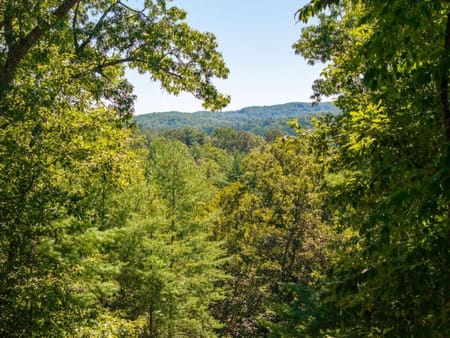 Blue Ridge, GA 30513 Fannin County