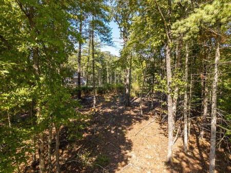 Blue Ridge, GA 30513 Fannin County