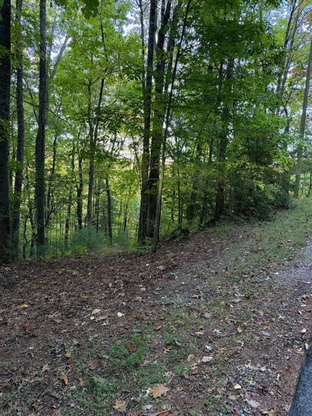 Clayton, GA 30525 Rabun County
