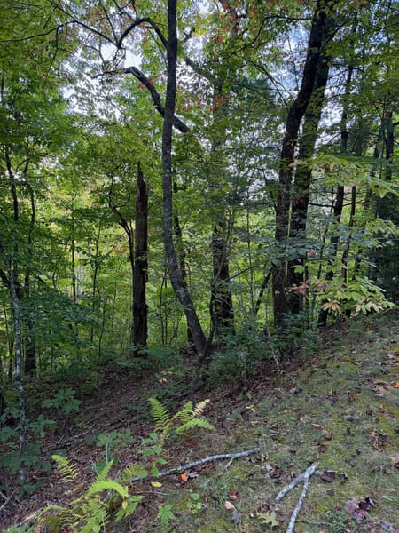 Clayton, GA 30525 Rabun County