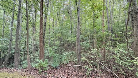 Ball Ground, GA 30107 Forsyth County