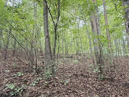 Ball Ground, GA 30107 Forsyth County