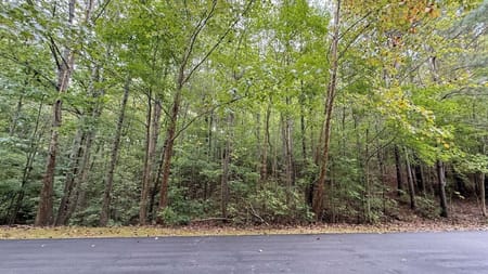 Ball Ground, GA 30107 Forsyth County