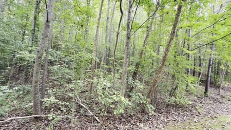 Ball Ground, GA 30107 Forsyth County