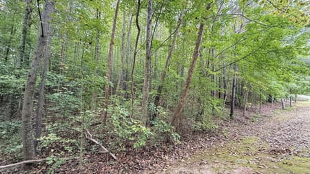 Ball Ground, GA 30107 Forsyth County