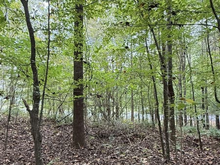 Ball Ground, GA 30107 Forsyth County