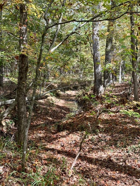 Ellerslie, GA 31807 Harris County