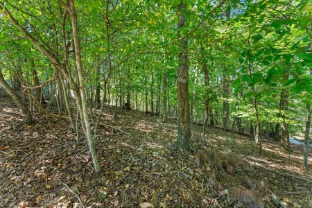 Gainesville, GA 30506 Hall County